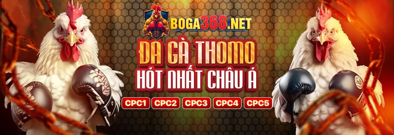 Minh họa các loại cookie được sử dụng bởi 79king 78